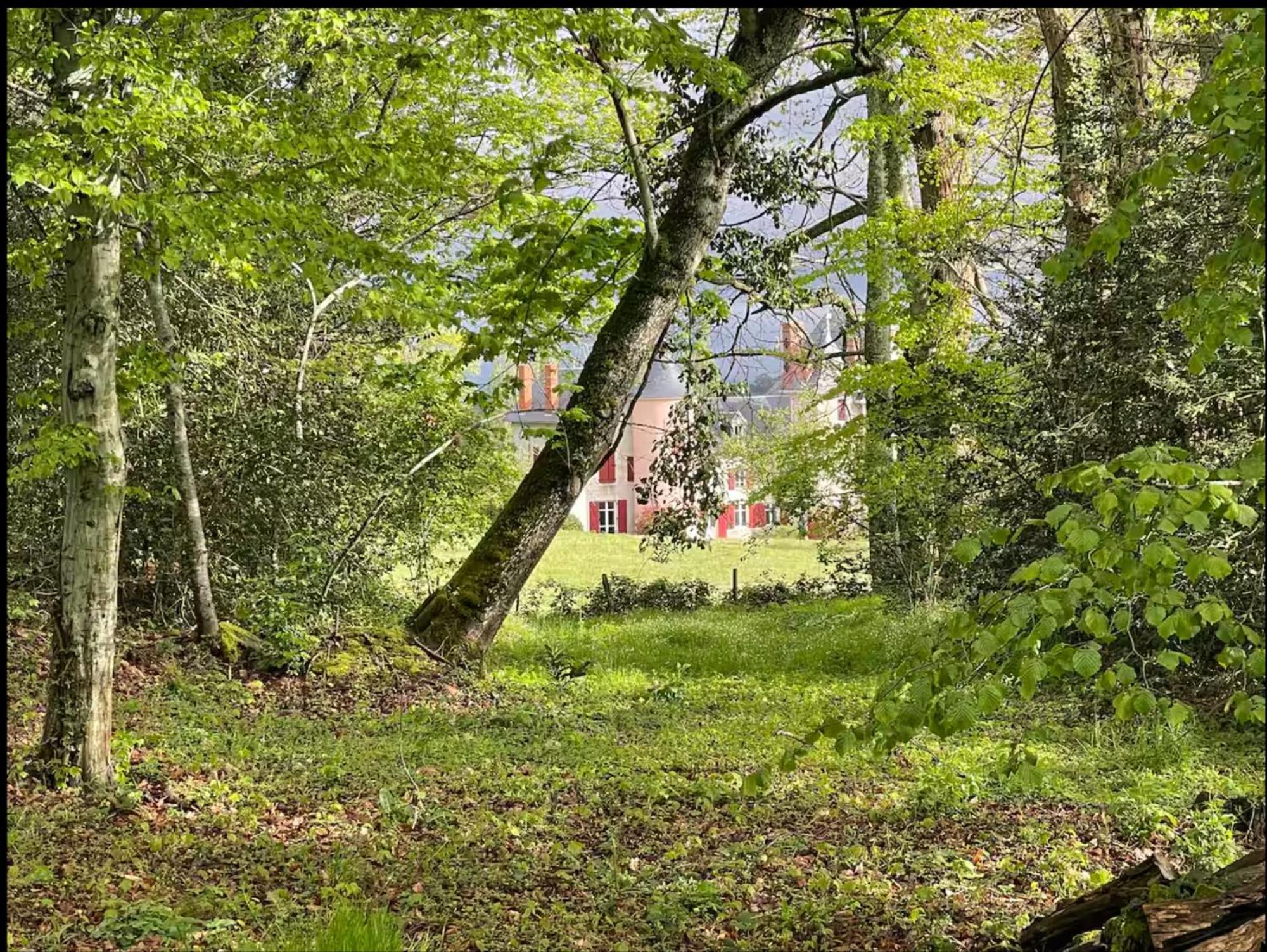 Chateau De La Combe La Celle  外观 照片